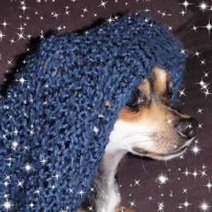 Meet your Posher, Mike